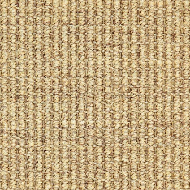 52055 - Leeuwentand - Beige