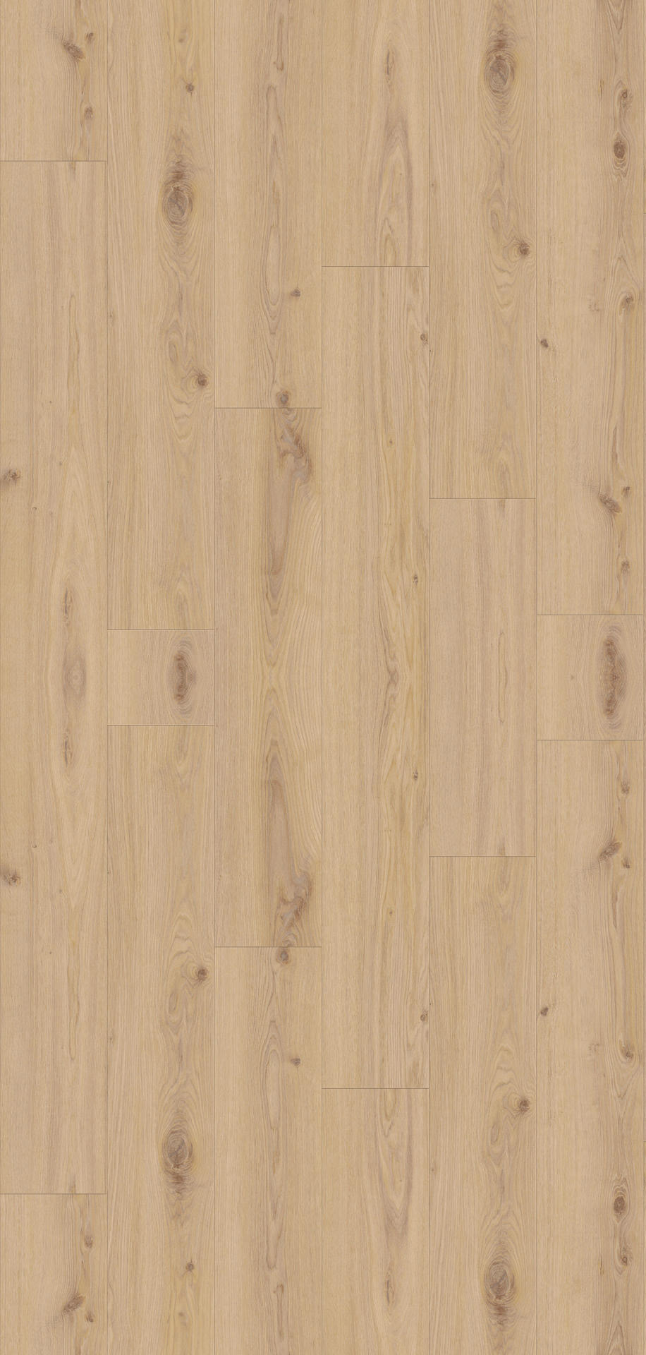 24514092 - Tarkett Supernature XXL planken 55 - Delicate oak- Almond