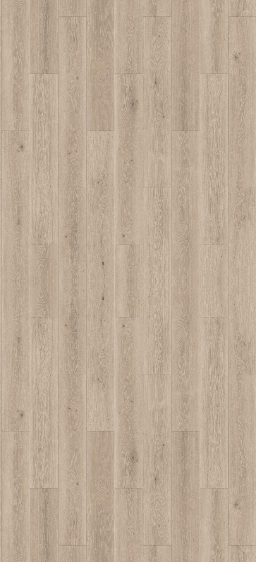 24514116 - Tarkett Supernature XXL planken 55 - Highland Oak- Beige