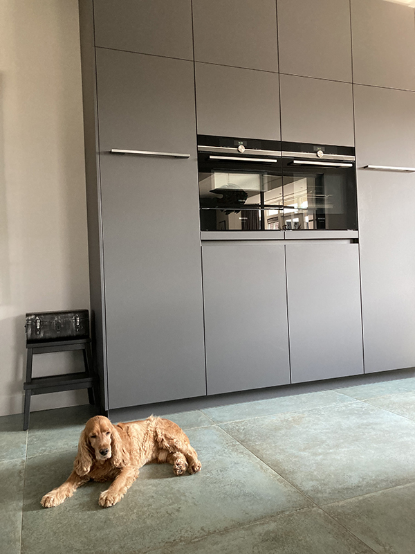 hond in keuken